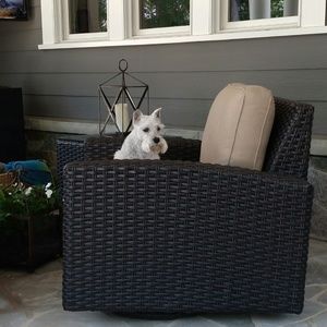 Meet your Posher, James